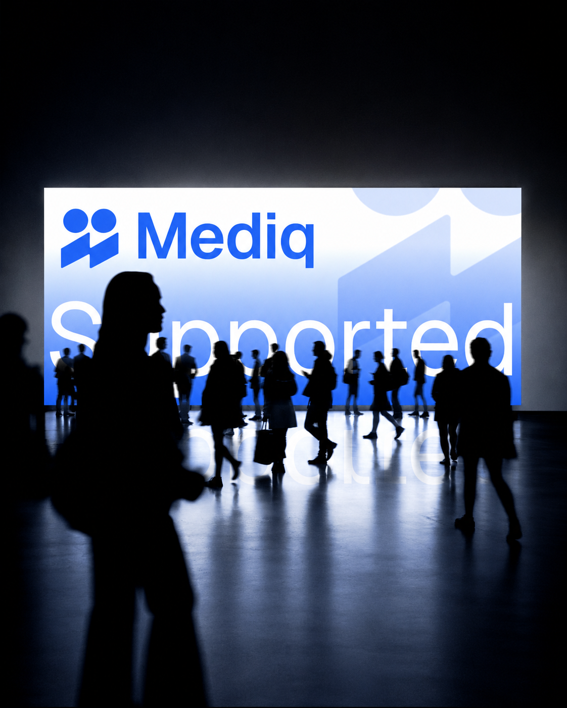 Mediq project preview